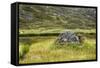 Alaska, Hatchers Pass-Savanah Stewart-Framed Stretched Canvas