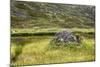 Alaska, Hatchers Pass-Savanah Stewart-Mounted Photographic Print