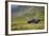 Alaska, Hatchers Pass-Savanah Stewart-Framed Photographic Print