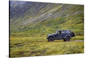 Alaska, Hatchers Pass-Savanah Stewart-Stretched Canvas