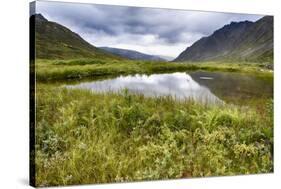 Alaska, Hatchers Pass-Savanah Stewart-Stretched Canvas