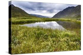 Alaska, Hatchers Pass-Savanah Stewart-Stretched Canvas