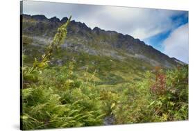 Alaska, Hatchers Pass-Savanah Stewart-Stretched Canvas