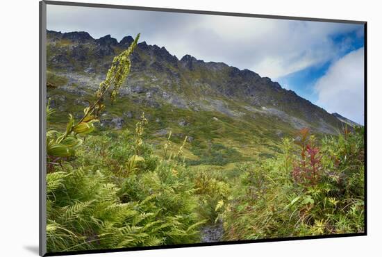 Alaska, Hatchers Pass-Savanah Stewart-Mounted Photographic Print