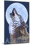 Alaska, Howling Wolf-Lantern Press-Mounted Art Print