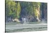 Alaska. Humpback Whale Tail Lobbing-Jaynes Gallery-Stretched Canvas