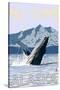 Alaska - Humpback Whale-Lantern Press-Stretched Canvas