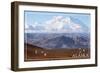 Alaska - Mt. McKinley and Goats-Lantern Press-Framed Art Print