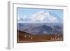 Alaska - Mt. McKinley and Goats-Lantern Press-Framed Art Print