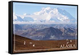 Alaska - Mt. McKinley and Goats-Lantern Press-Framed Stretched Canvas