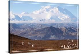 Alaska - Mt. McKinley and Goats-Lantern Press-Stretched Canvas