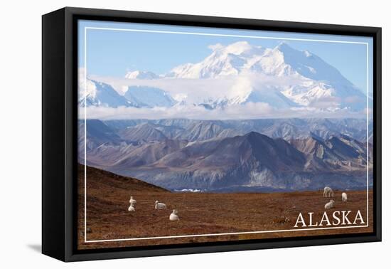 Alaska - Mt. McKinley and Goats-Lantern Press-Framed Stretched Canvas