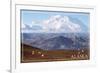 Alaska - Mt. McKinley and Goats-Lantern Press-Framed Art Print