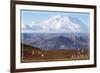 Alaska - Mt. McKinley and Goats-Lantern Press-Framed Art Print