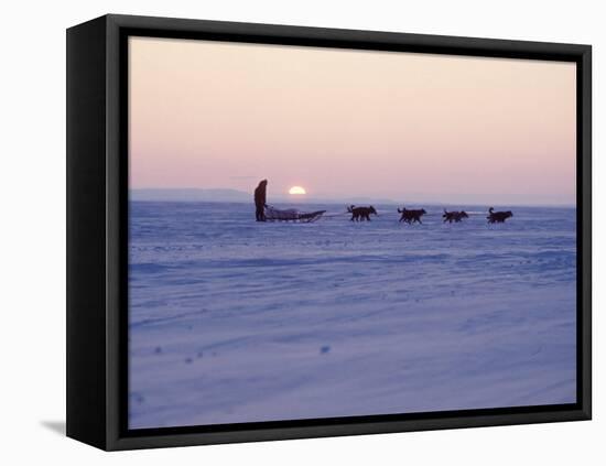 Alaska: Native Alaskan Moving on a Dog-Sled over the Ice, with the Midnight Sun in the Background-Ralph Crane-Framed Stretched Canvas