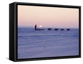 Alaska: Native Alaskan Moving on a Dog-Sled over the Ice, with the Midnight Sun in the Background-Ralph Crane-Framed Stretched Canvas