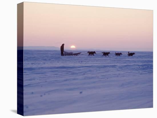 Alaska: Native Alaskan Moving on a Dog-Sled over the Ice, with the Midnight Sun in the Background-Ralph Crane-Stretched Canvas