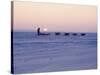 Alaska: Native Alaskan Moving on a Dog-Sled over the Ice, with the Midnight Sun in the Background-Ralph Crane-Stretched Canvas