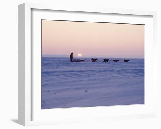 Alaska: Native Alaskan Moving on a Dog-Sled over the Ice, with the Midnight Sun in the Background-Ralph Crane-Framed Photographic Print