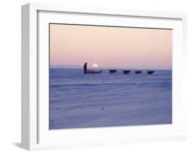 Alaska: Native Alaskan Moving on a Dog-Sled over the Ice, with the Midnight Sun in the Background-Ralph Crane-Framed Photographic Print