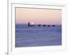 Alaska: Native Alaskan Moving on a Dog-Sled over the Ice, with the Midnight Sun in the Background-Ralph Crane-Framed Photographic Print