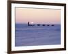 Alaska: Native Alaskan Moving on a Dog-Sled over the Ice, with the Midnight Sun in the Background-Ralph Crane-Framed Photographic Print