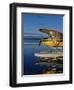 Alaska, Nondalton, Cessna Floatplane Parked on Still Waters of Six Mile Lake, Valhalla Lodge, USA-John Warburton-lee-Framed Photographic Print