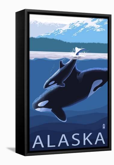 Alaska - Orca and Calf-Lantern Press-Framed Stretched Canvas