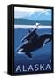 Alaska - Orca and Calf-Lantern Press-Framed Stretched Canvas