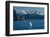 Alaska Passage Humpback Fin-Charles Glover-Framed Giclee Print