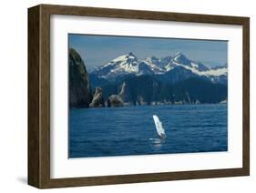 Alaska Passage Humpback Fin-Charles Glover-Framed Giclee Print