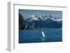 Alaska Passage Humpback Fin-Charles Glover-Framed Giclee Print