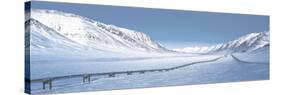 Alaska Pipeline Brooks Range AK-null-Stretched Canvas