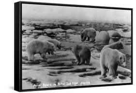 Alaska - Polar Bears on Arctic Ice Float-Lantern Press-Framed Stretched Canvas