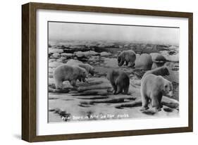 Alaska - Polar Bears on Arctic Ice Float-Lantern Press-Framed Art Print