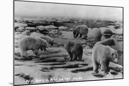 Alaska - Polar Bears on Arctic Ice Float-Lantern Press-Mounted Art Print