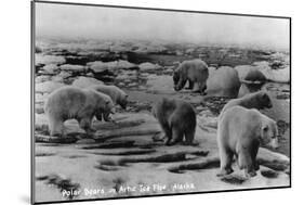 Alaska - Polar Bears on Arctic Ice Float-Lantern Press-Mounted Art Print