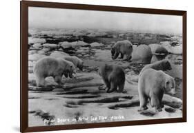 Alaska - Polar Bears on Arctic Ice Float-Lantern Press-Framed Art Print