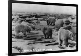 Alaska - Polar Bears on Arctic Ice Float-Lantern Press-Framed Art Print