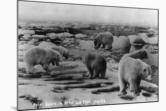 Alaska - Polar Bears on Arctic Ice Float-Lantern Press-Mounted Art Print