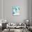 Alaska Polar Bears on Iceberg-Lantern Press-Stretched Canvas displayed on a wall