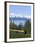 Alaska Railroad Near Girdwood, Alaska, United States of America, North America-null-Framed Photographic Print