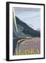 Alaska Railroad Scene, Denali National Park, Alaska-Lantern Press-Framed Art Print