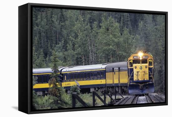 Alaska Railroad Train, Denali National Park, Alaska, USA-Gerry Reynolds-Framed Stretched Canvas