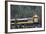 Alaska Railroad Train, Denali National Park, Alaska, USA-Gerry Reynolds-Framed Photographic Print