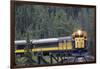 Alaska Railroad Train, Denali National Park, Alaska, USA-Gerry Reynolds-Framed Photographic Print