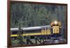 Alaska Railroad Train, Denali National Park, Alaska, USA-Gerry Reynolds-Framed Photographic Print