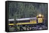 Alaska Railroad Train, Denali National Park, Alaska, USA-Gerry Reynolds-Framed Stretched Canvas