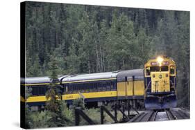 Alaska Railroad Train, Denali National Park, Alaska, USA-Gerry Reynolds-Stretched Canvas