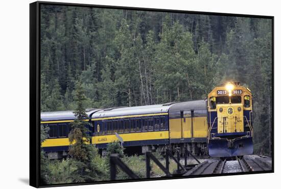Alaska Railroad Train, Denali National Park, Alaska, USA-Gerry Reynolds-Framed Stretched Canvas